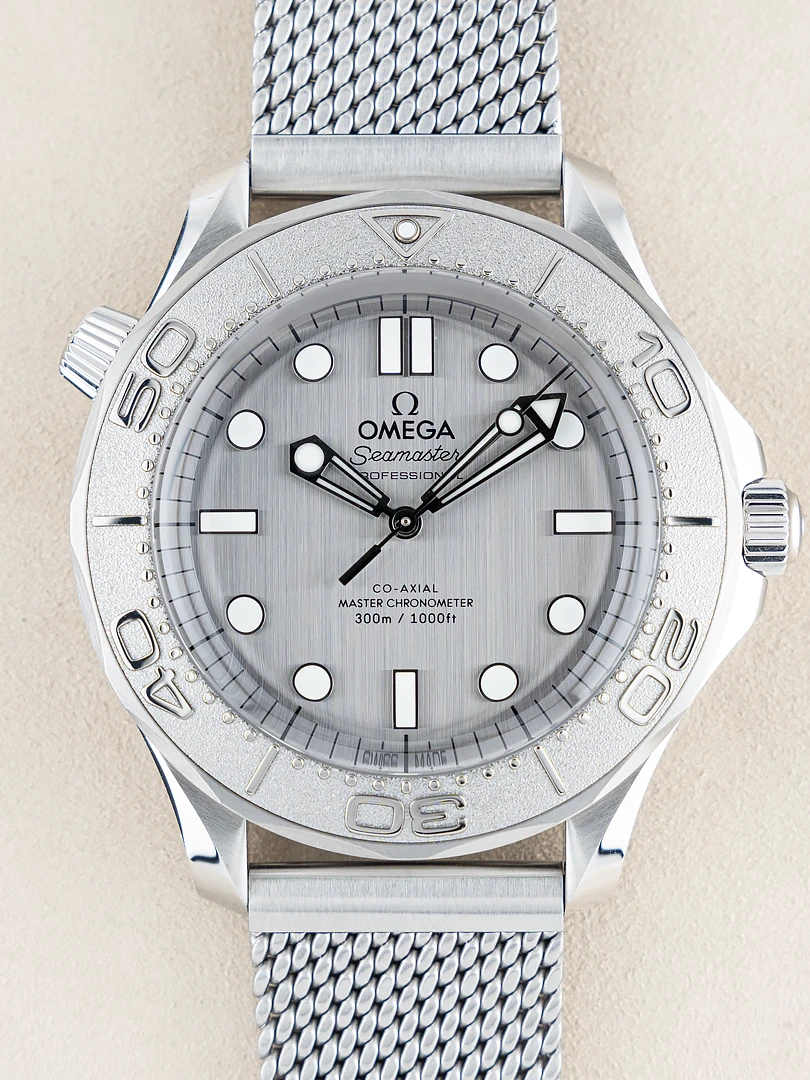 Seamaster Diver 300m